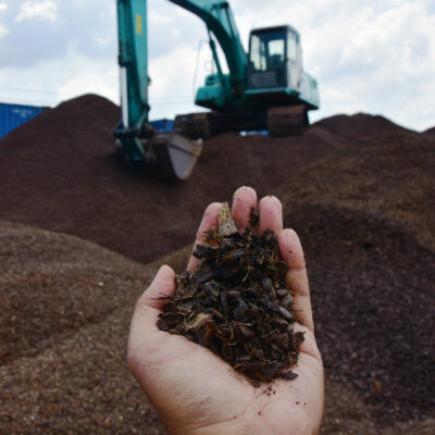 Sally Maritime - Melirik Potensi Cangkang Sawit Indonesia